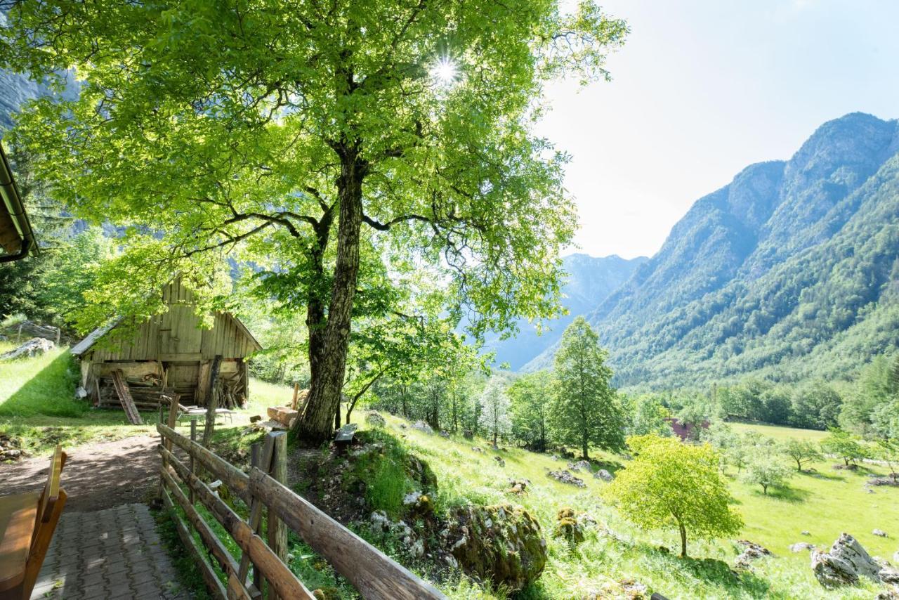 Alpine House Antonia Villa Trenta Bagian luar foto