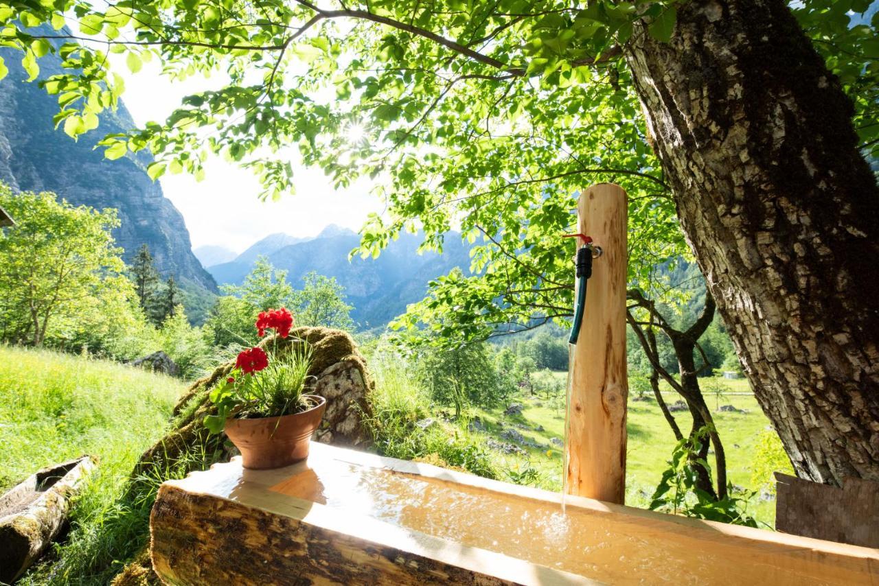 Alpine House Antonia Villa Trenta Bagian luar foto