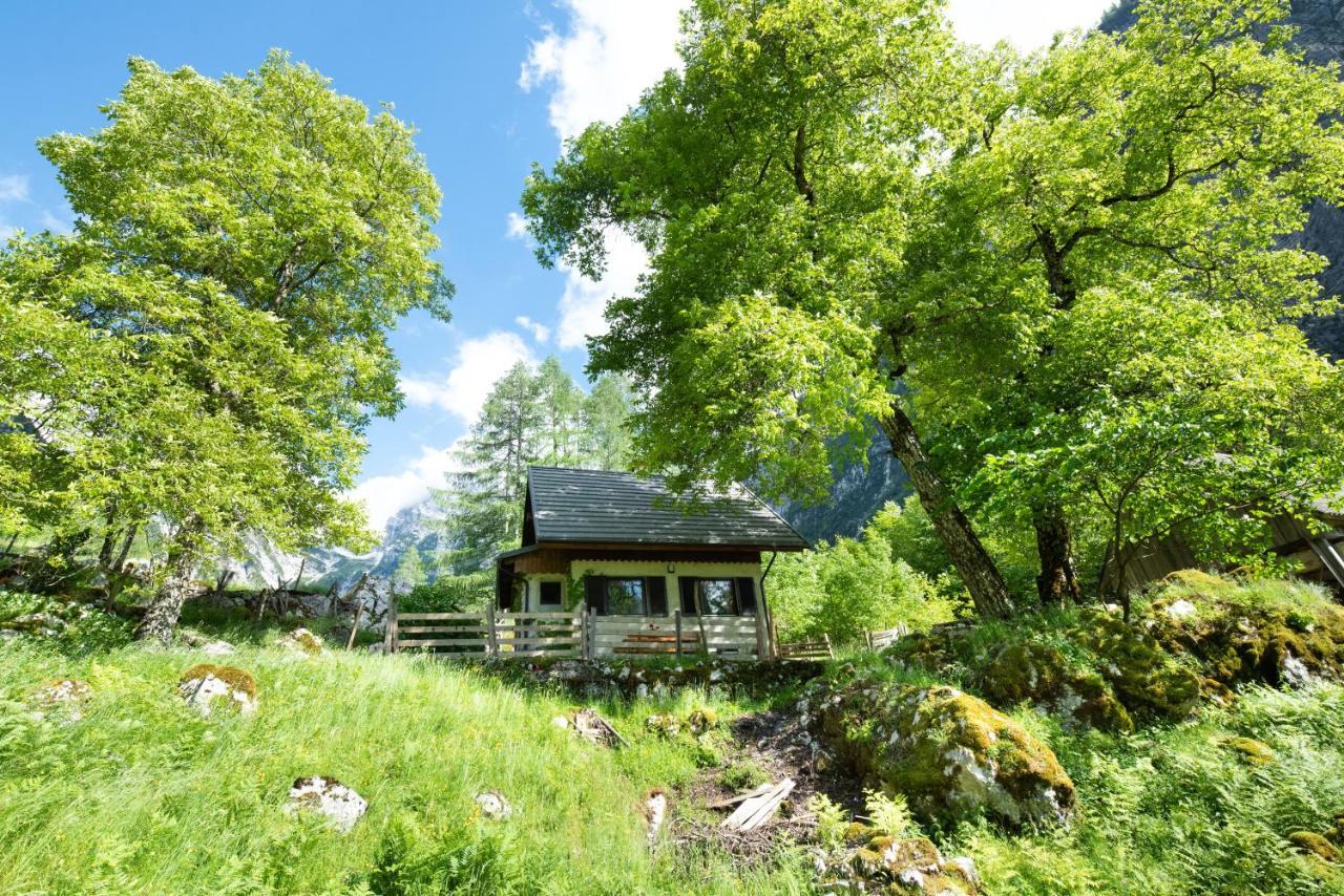 Alpine House Antonia Villa Trenta Bagian luar foto