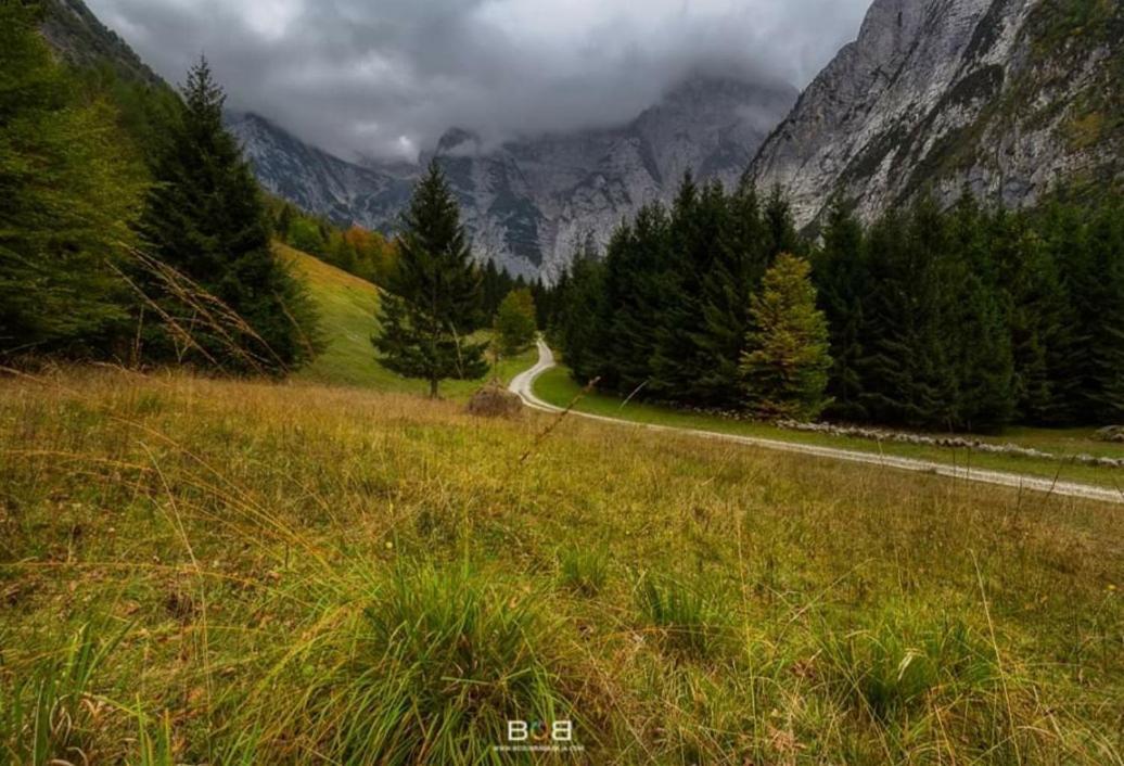 Alpine House Antonia Villa Trenta Bagian luar foto