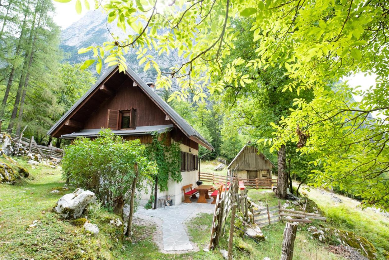 Alpine House Antonia Villa Trenta Bagian luar foto