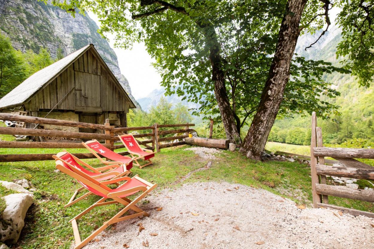 Alpine House Antonia Villa Trenta Bagian luar foto