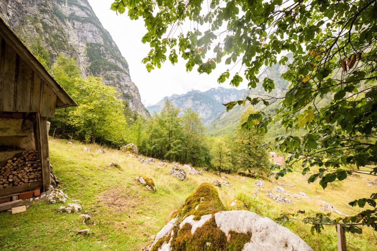 Alpine House Antonia Villa Trenta Bagian luar foto