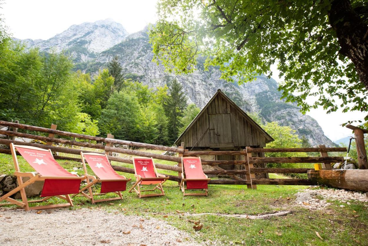 Alpine House Antonia Villa Trenta Bagian luar foto