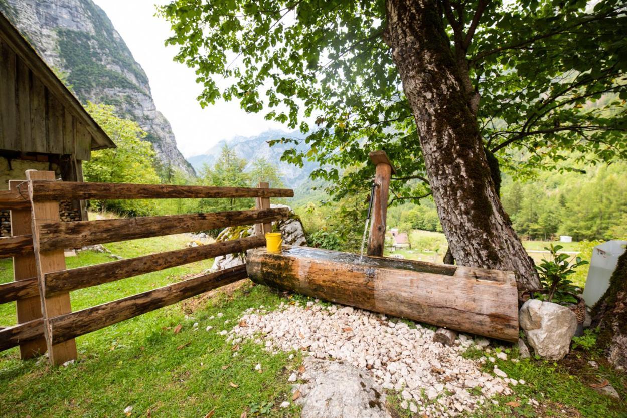 Alpine House Antonia Villa Trenta Bagian luar foto